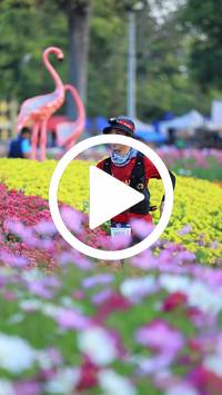 BIB:  <button type="button" onclick="openModal(27583093)" class="btn btn-primary btn-sm float-right" data-toggle="modal" data-target=".modal-high-quality">
                <i class="fa fa-download"></i> Download
                </button>